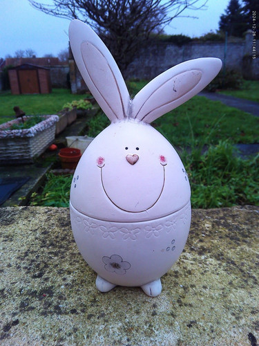 Bonbonnière boîte lapin - bonbonnière,