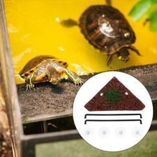 Aquarium Tortue Terrarium Pour