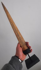 curiosité , taxidermie