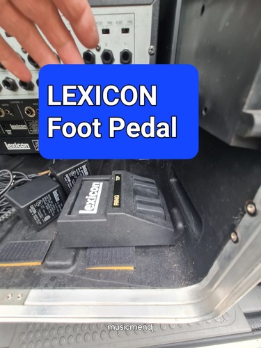 Lexicon lex dfx dual switch - dual,