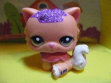 Petshop Chat Persan Pailleté