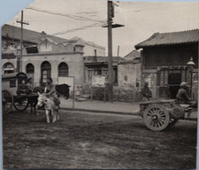 China, Beijing, in the Street, Vintage Print, ca.1910 Vintage Print d&#039