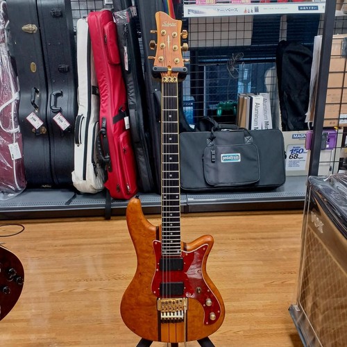 Guitare électrique schecter - guitare,