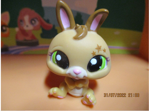 Petshop lapin nain 1497 - petshop, #1497