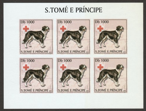 Border collie int l - border, **