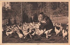 76 Abbey of St Wandrille - Le Poulailler 43844