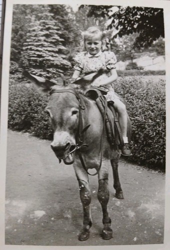 Fillette dos âne - d'âne, 1950's