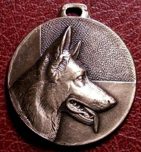 German shepherd berger - shepherd,