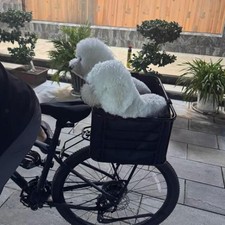 Panier Arrière De Vélo