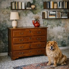 Commode Néoclassique Ancienne