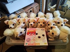 Ultra doggy chihuahua #a2ff4b