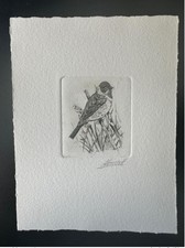 Belgique 1991 COB 2425 Epreuve