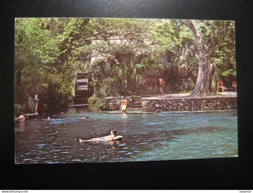 Juniper springs zone - juniper,