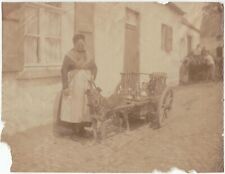 dog car. albumen print 21 x 26cm. 19th century photo.