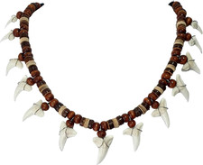 13! Genuine Shark Teeth