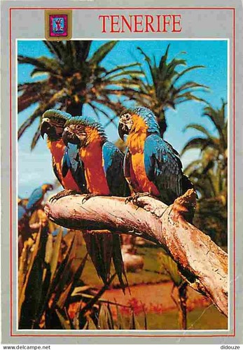 Carte postale animaux - carte,