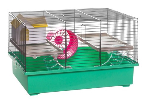 Cage souris - cage,