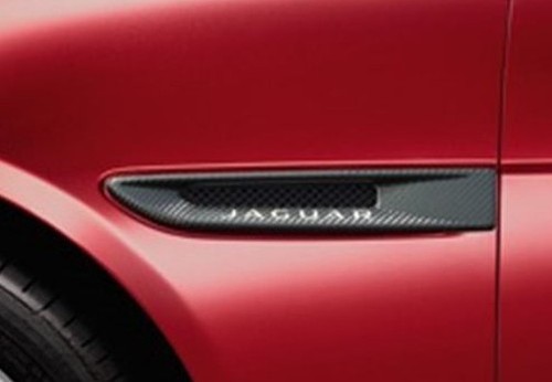 Neuf véritable jaguar - véritable, xe
