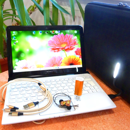 Set sony vaio - sve11, blanc