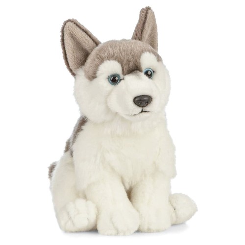 Husky chiot nature - husky,