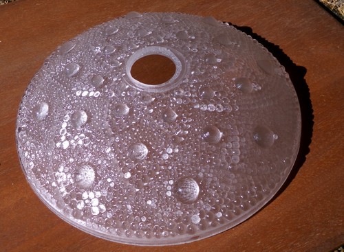 Coupelle pour lustre lampe - coupelle,