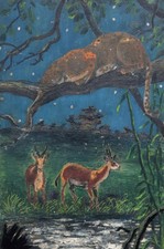 AFRIQUE CHASSE Panthere