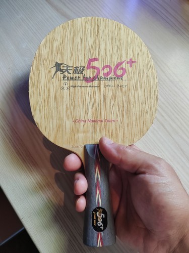 Bois tennis table dhs - table, tg506