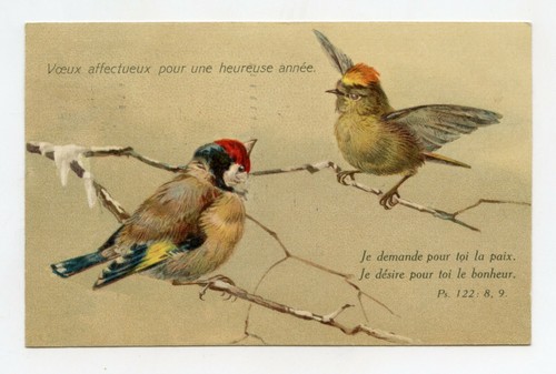 Bonne année oiseaux - .,