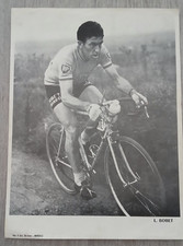 Carte 24x18cm Cycliste LOUISON BOBET photo Cyclisme Miroir sprint ?