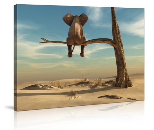 Images sur toile 60 - toile, 80