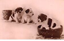Dogs - No. 71381 - Puppies with wicker baskets