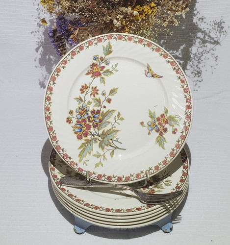 Lot assiettes plates - assiettes,