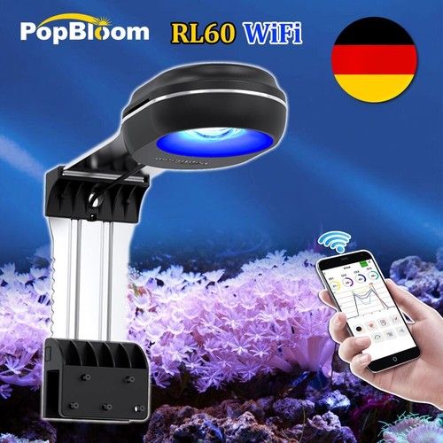 Popbloom rl60 éclairage - popbloom,