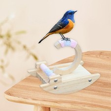 Support à Oiseaux, Jouet à Bascule Pour Perruches Calopsittes,