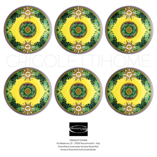 Versace rosenthal jungle - versace,