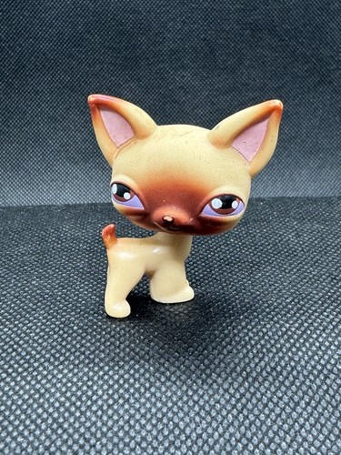 Authentic littlest pet - authentic,