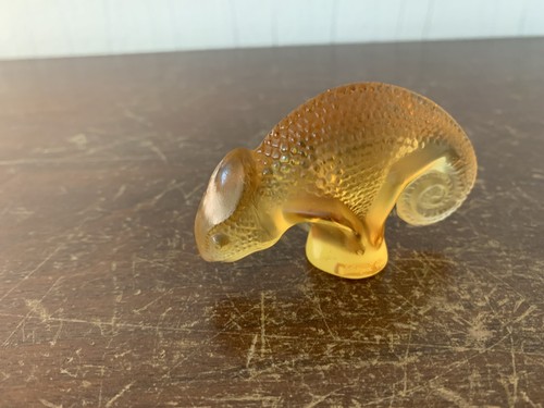 Caméléon oranger cristal - caméléon, en