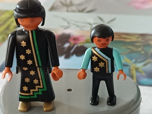 Playmobil apprenti sorcier et - playmobil,