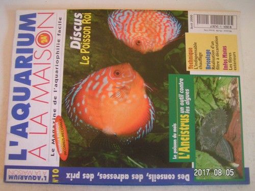 Aquarium à la maison - la,
