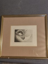 Gravure originale oiseau