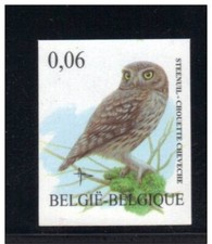 Belgique**BUZIN Chouette