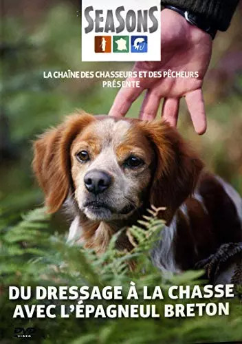 Dressage chasse avec - dressage, la