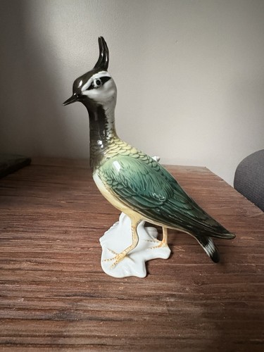 Vanneau huppe porcelaine - huppe, en