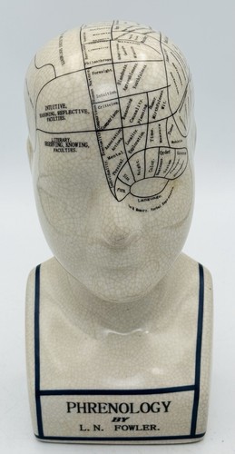 Fowler phrenology head - l.n.,