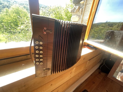Accordeon diatonique francois - accordeon,