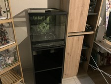 terrarium reptile et Son Meuble