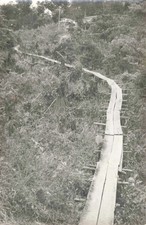 OLD PHOTO +- 1955 GUYANE OYAPOCK GATEWAY TO THE HOSPITAL YARD