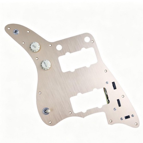 Pickguard chargé compatible - chargé,