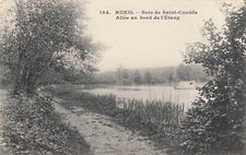 92 RUEIL BOIS DE ST-CUCUFA ALLEE AU BORD DE L'ETANG - 88589