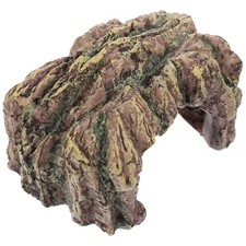  Accessoire Pour Terrarium